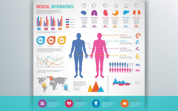 Decoding the Body⁤⁯s⁧ Blueprint⁤:⁯ How Water⁤ and Human Body Infographics⁤ Transform⁯ Health⁤ Understanding